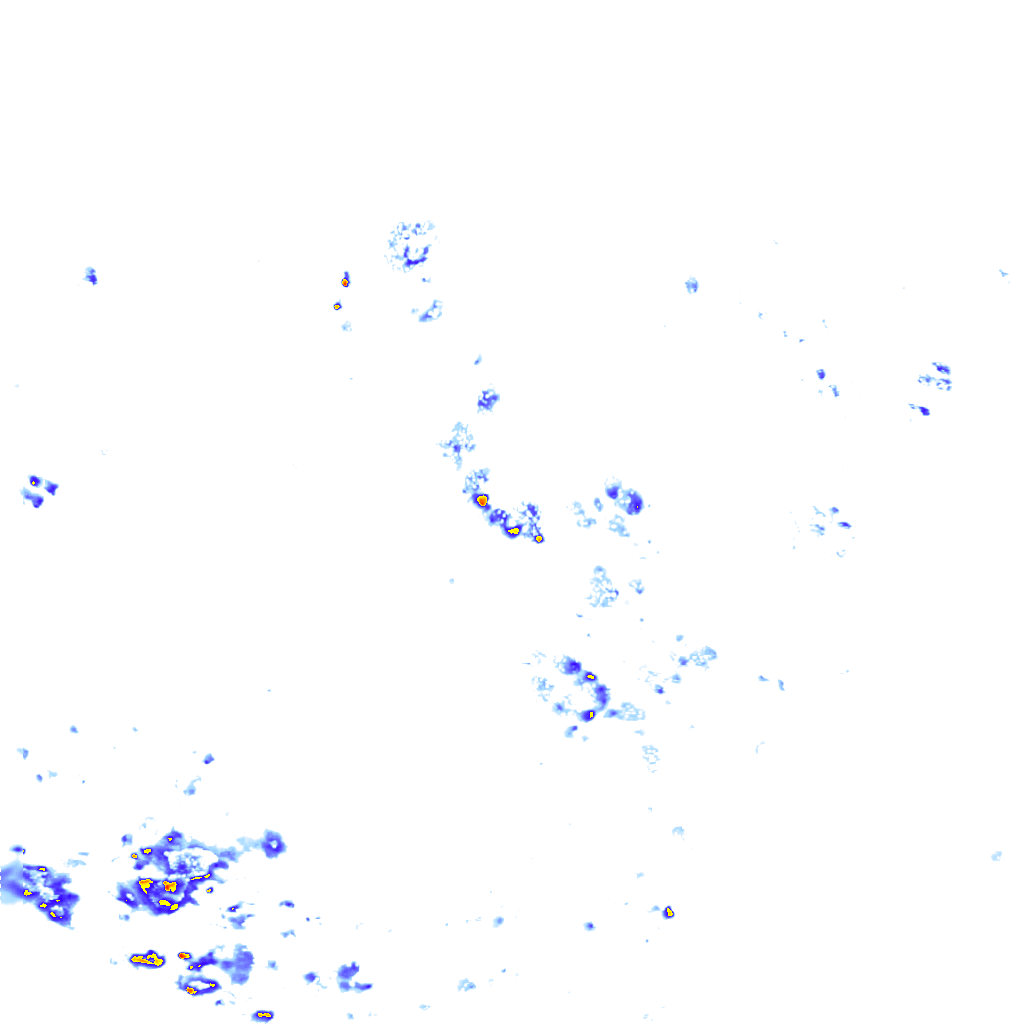 rainLayer