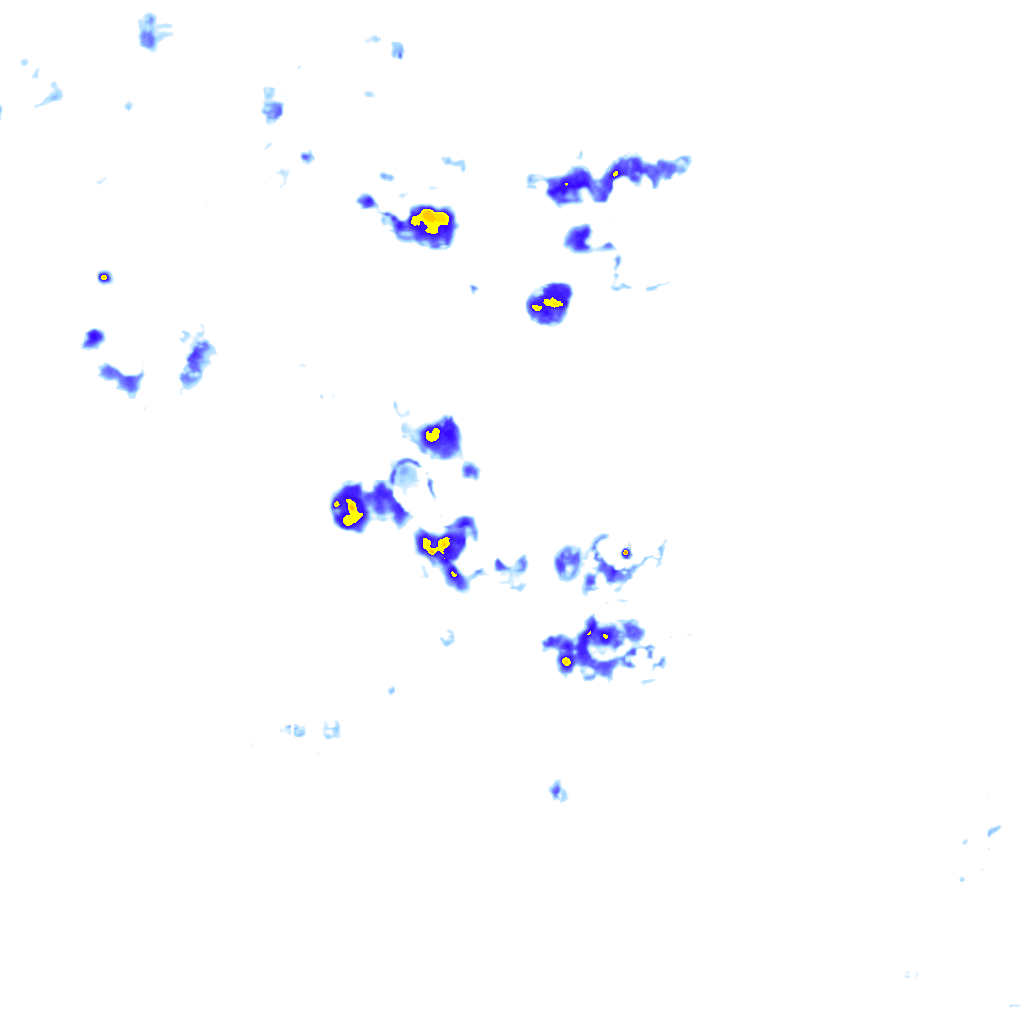 rainLayer
