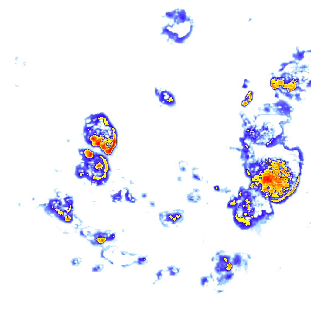 Image Layer