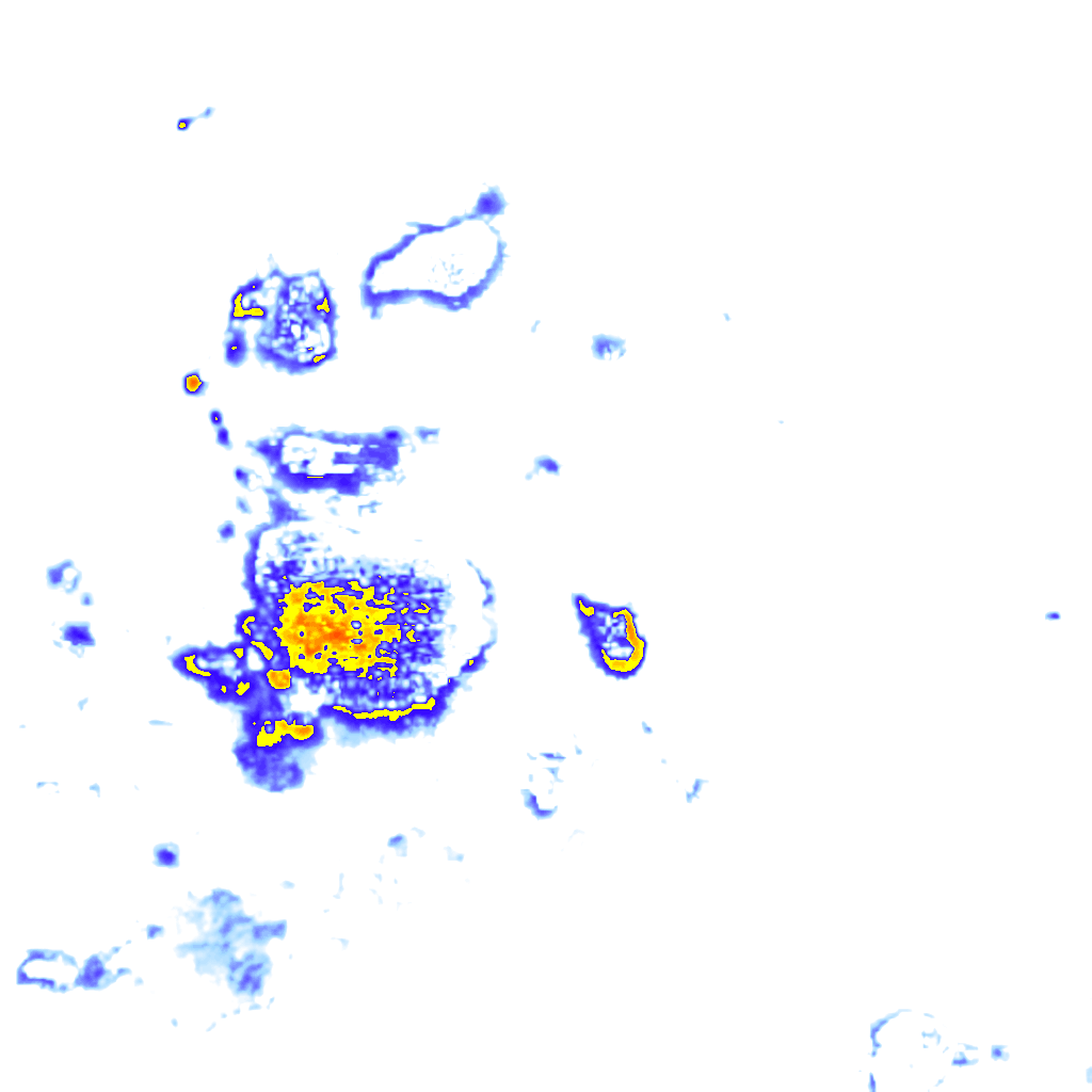 Image Layer