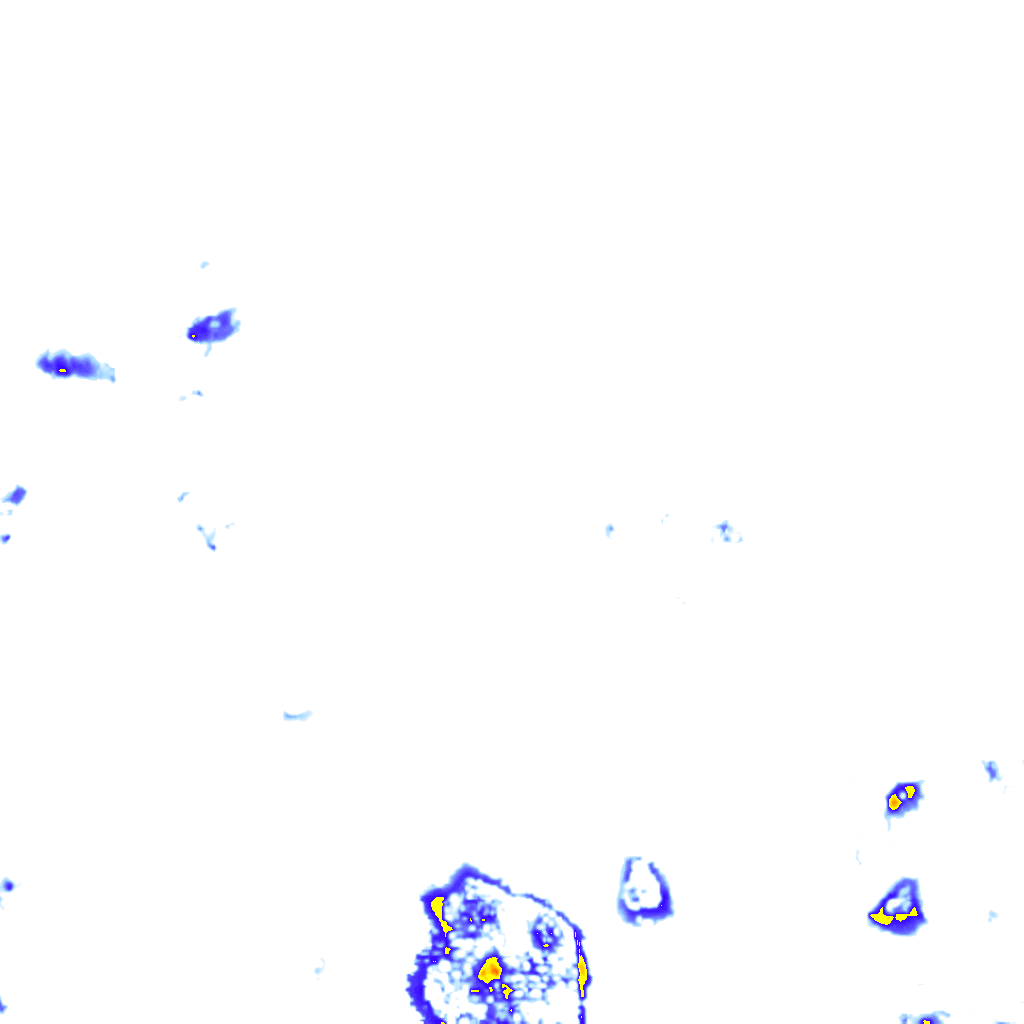 rainLayer