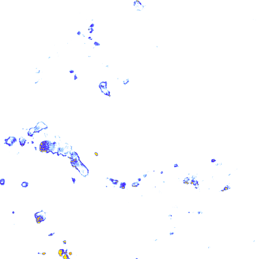 rainLayer