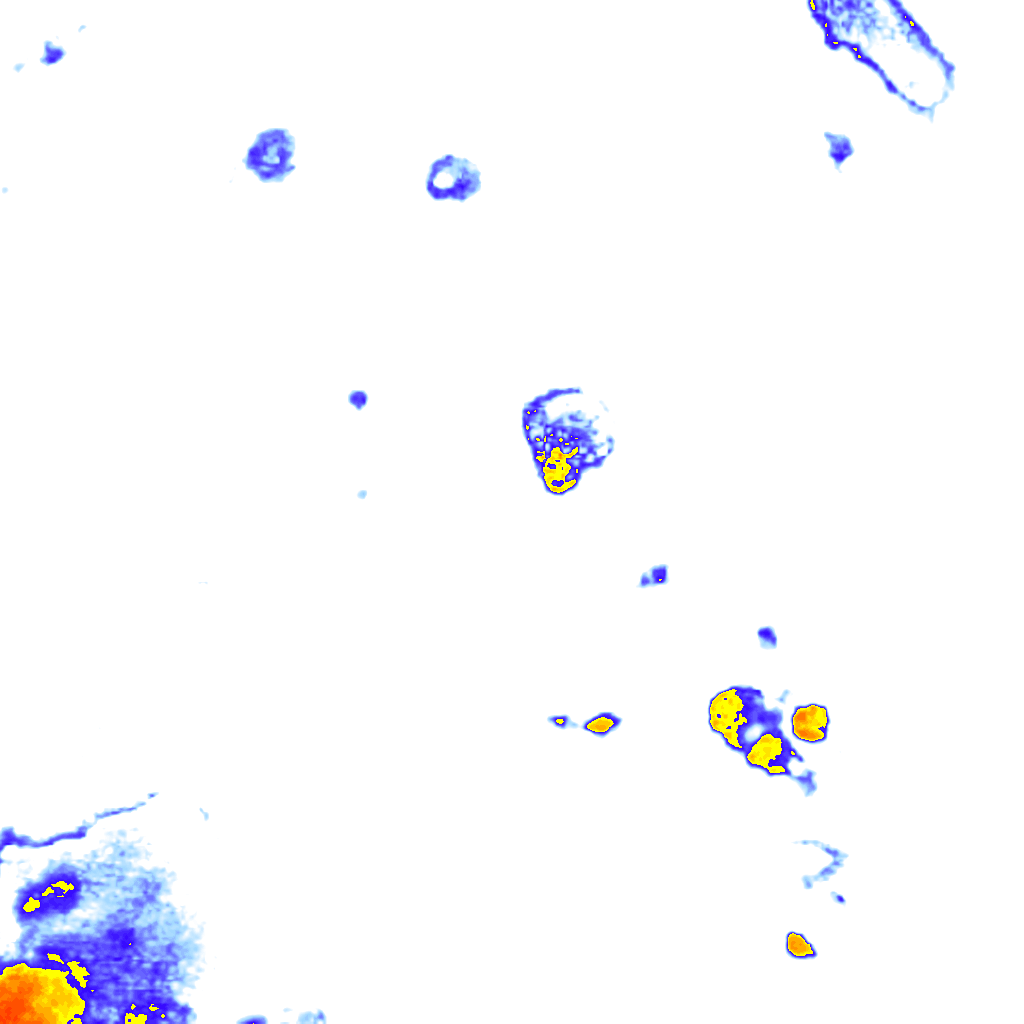 rainLayer