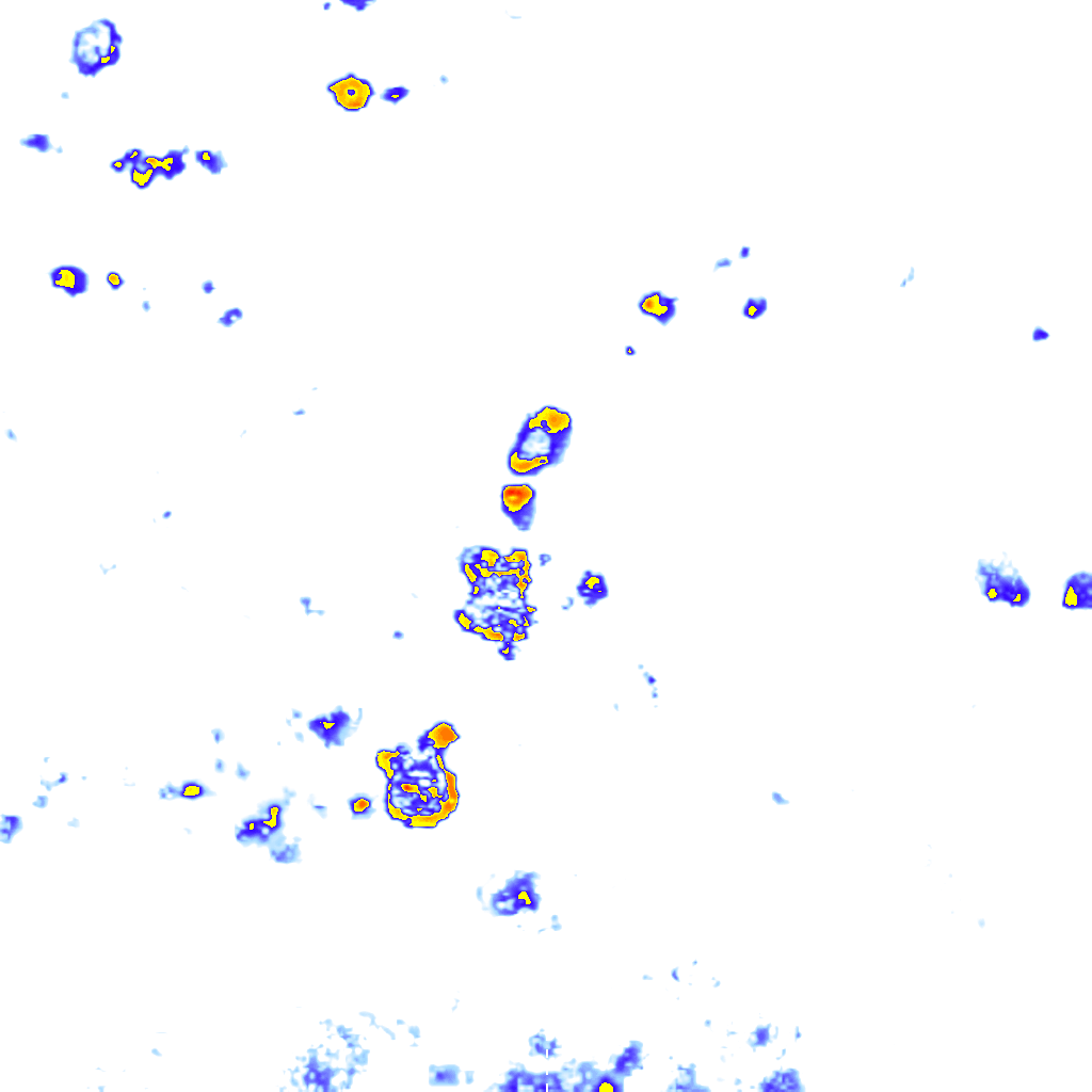 Image Layer