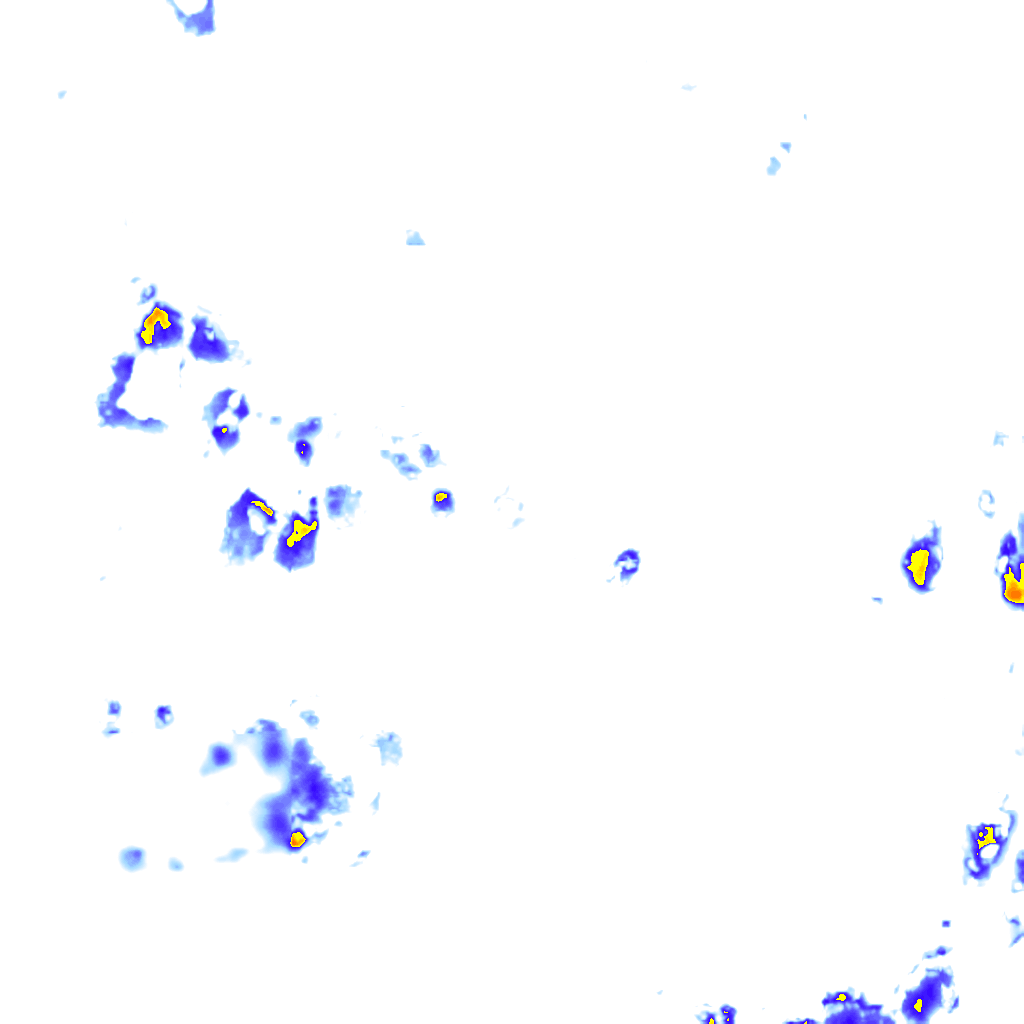 rainLayer