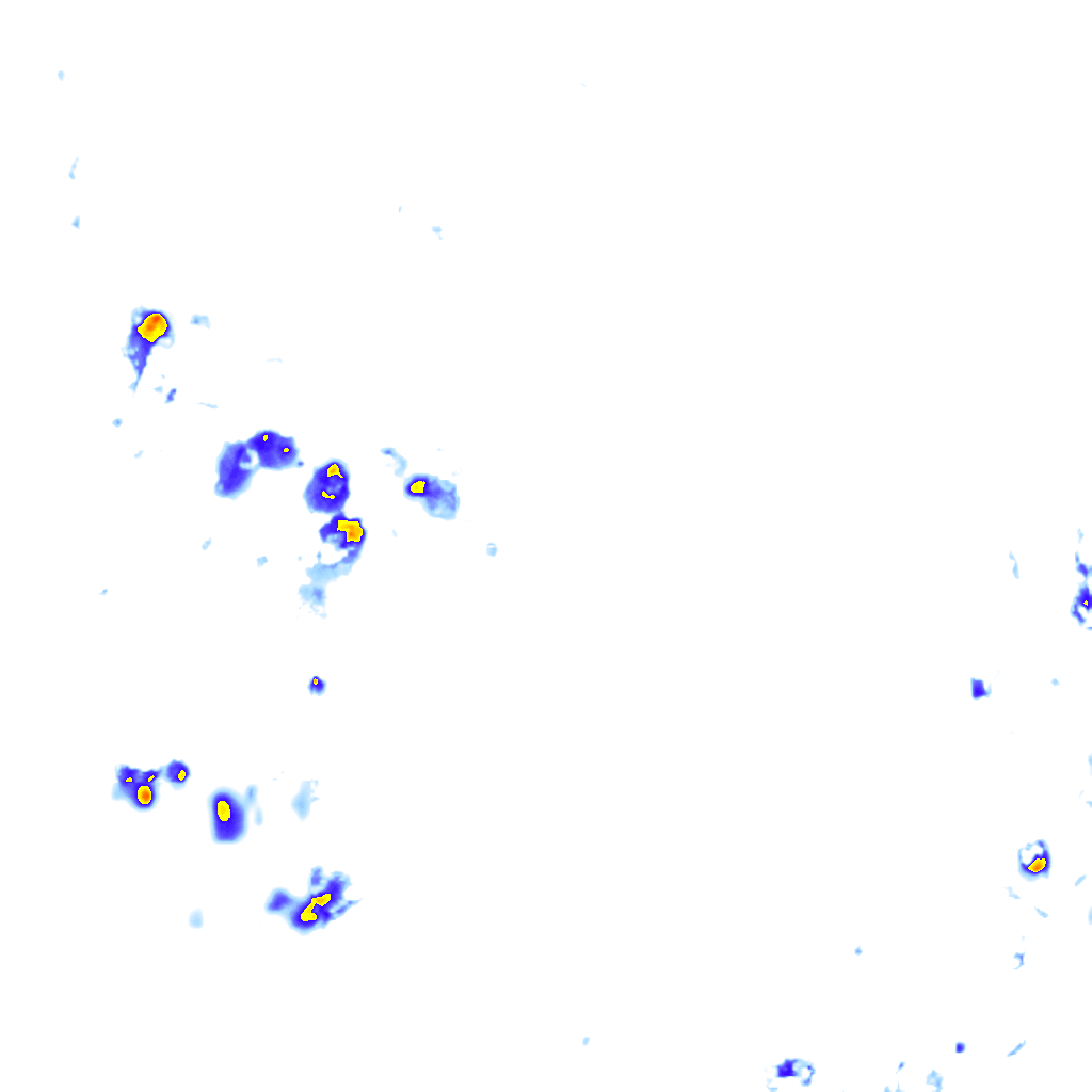 rainLayer