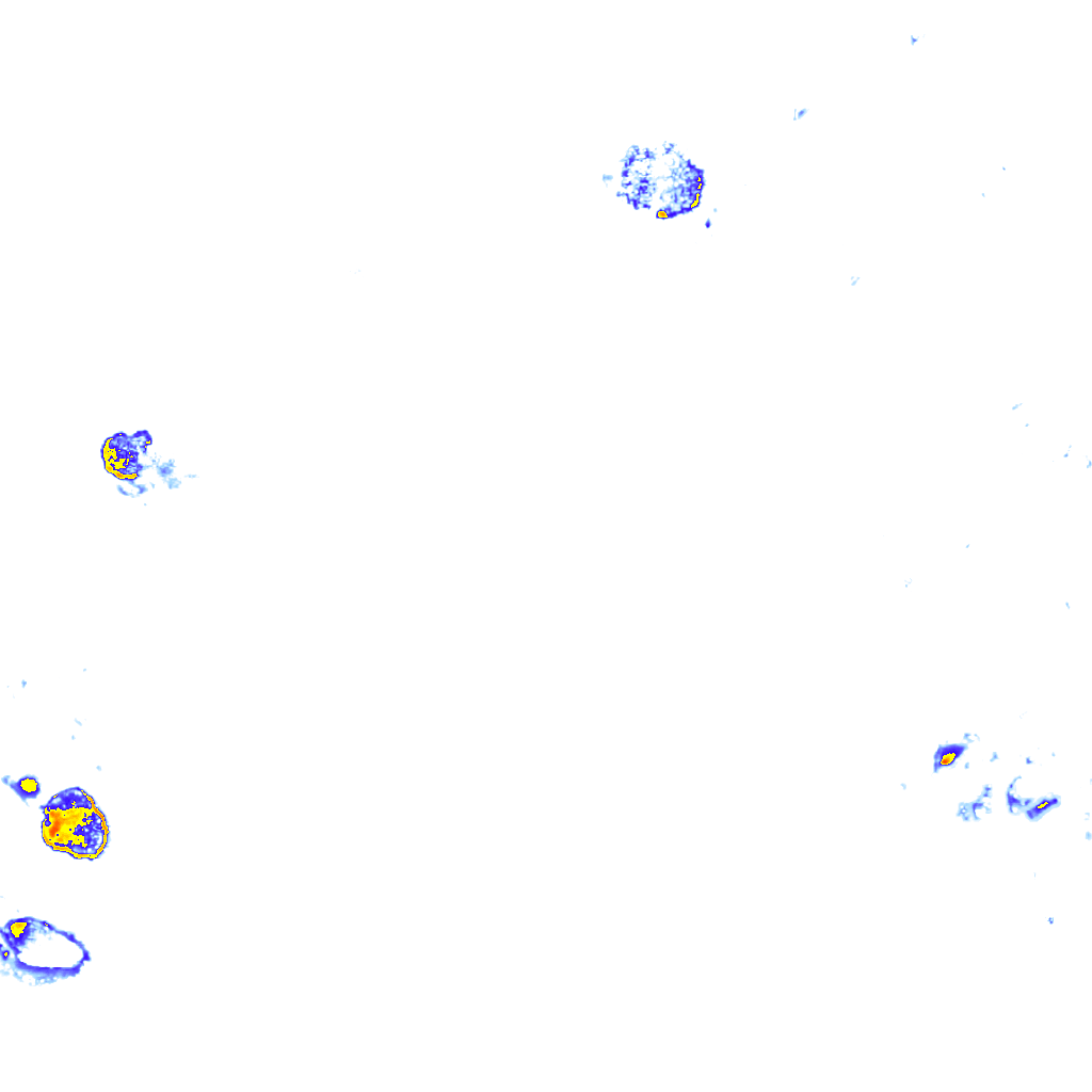 Image Layer
