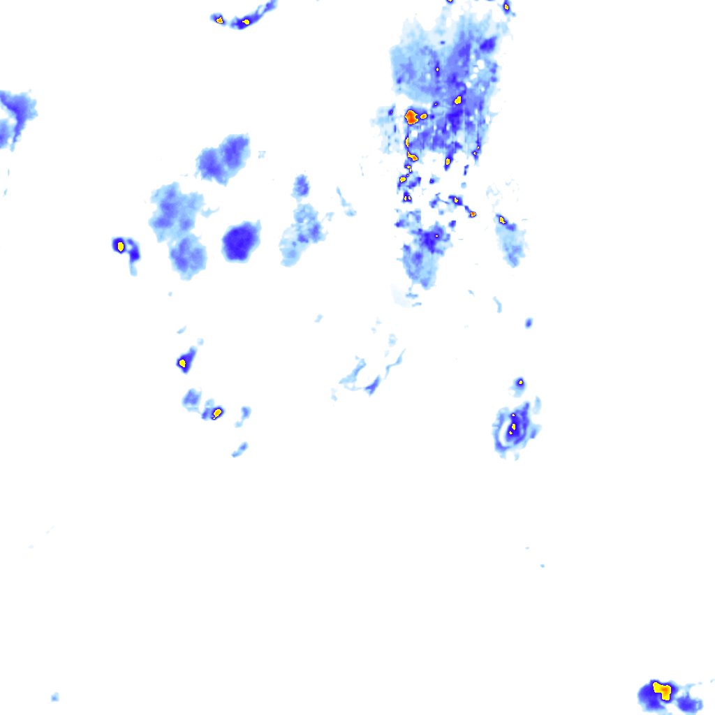 Image Layer