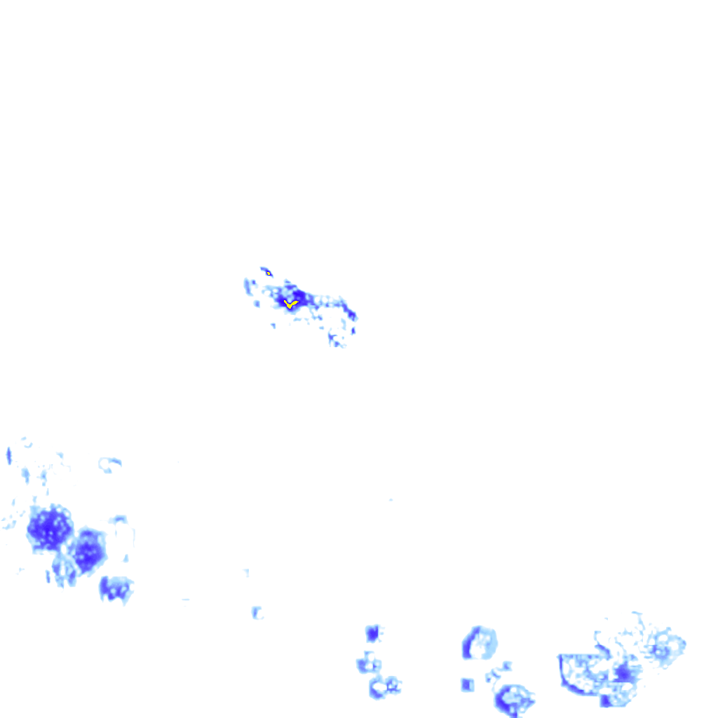 rainLayer