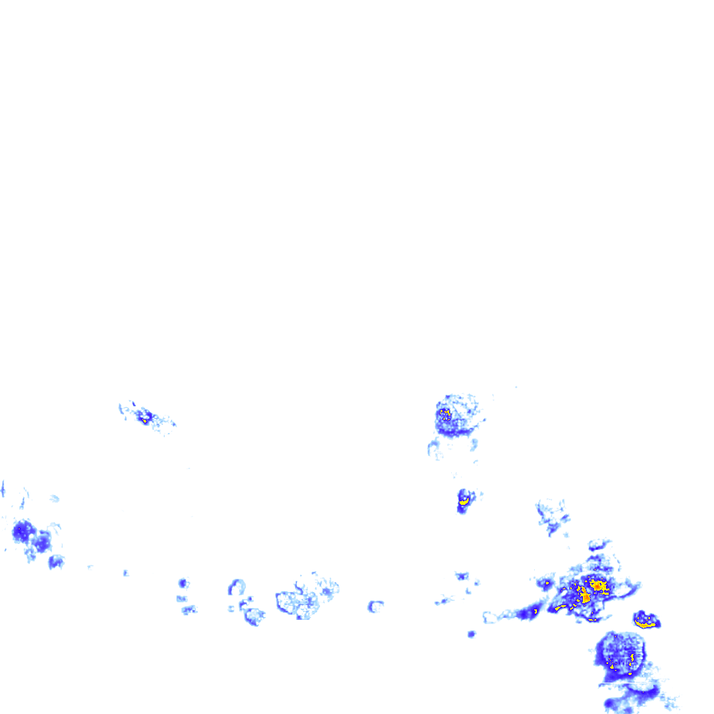 rainLayer