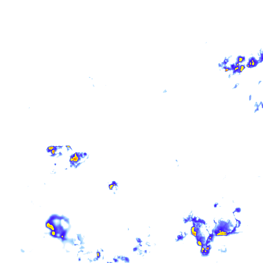 rainLayer