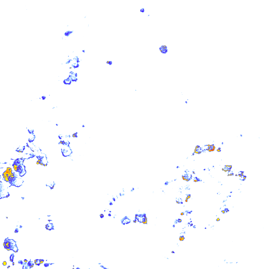 rainLayer