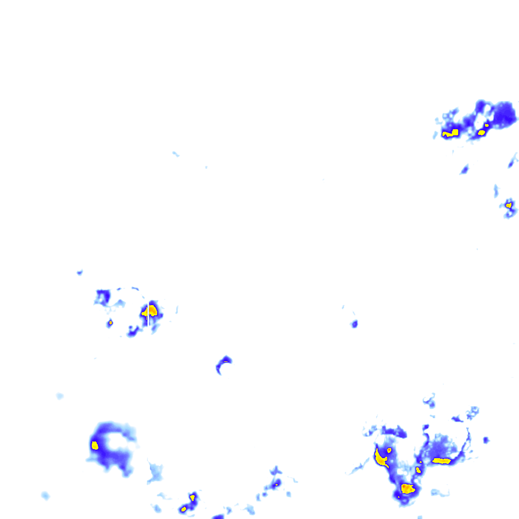 rainLayer
