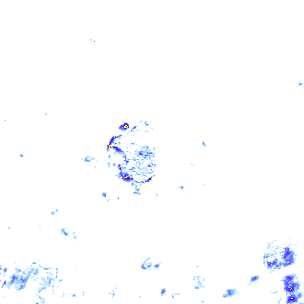 Image Layer