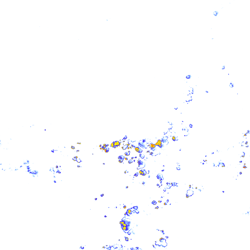 rainLayer