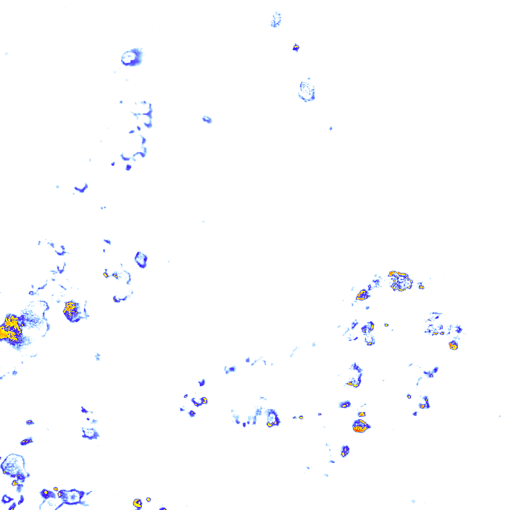 rainLayer
