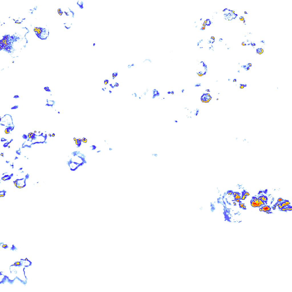 rainLayer