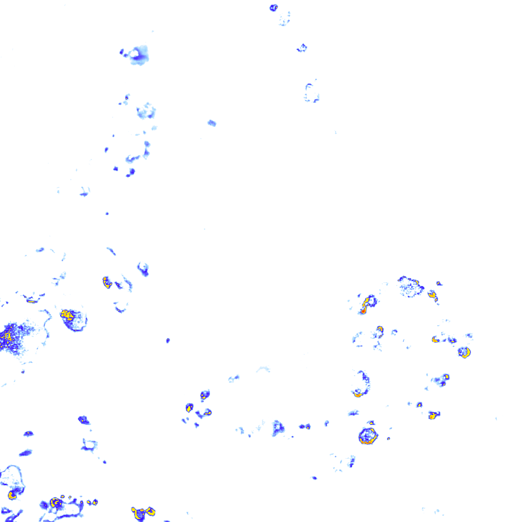 rainLayer