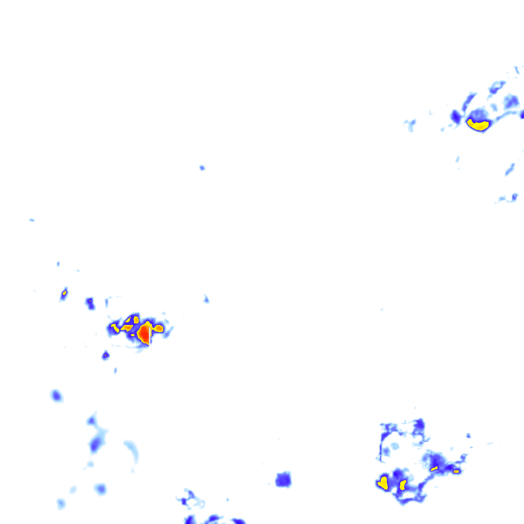 Image Layer