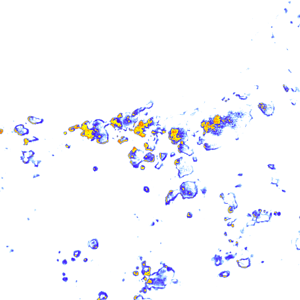Image Layer