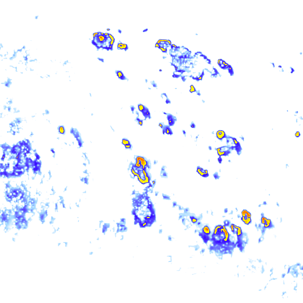Image Layer