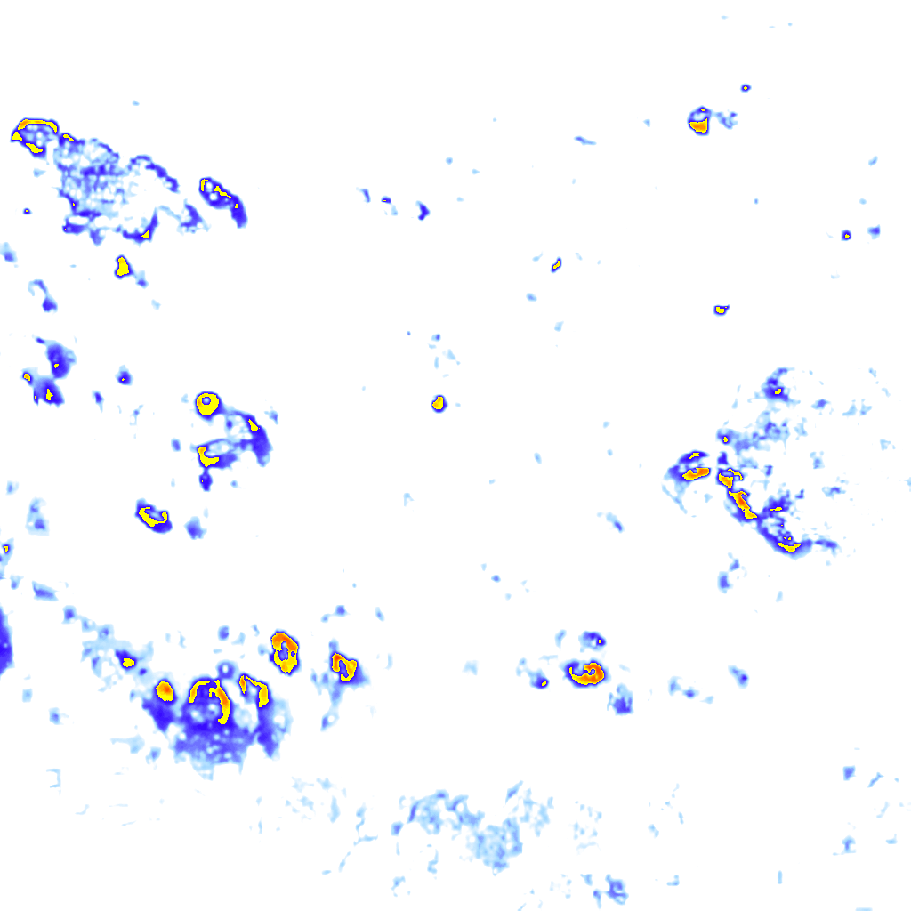 Image Layer