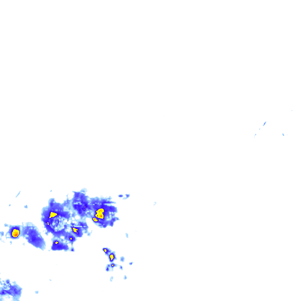 Image Layer