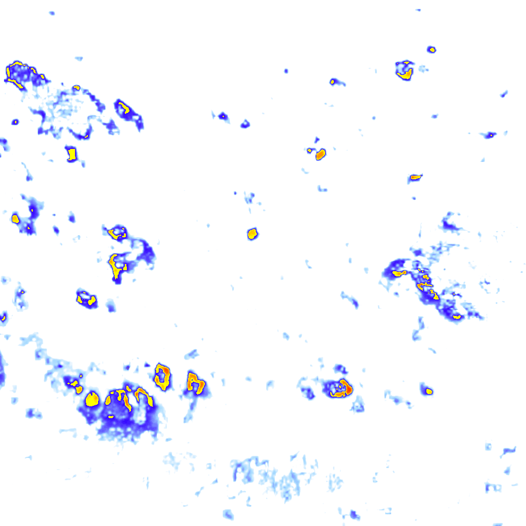 Image Layer
