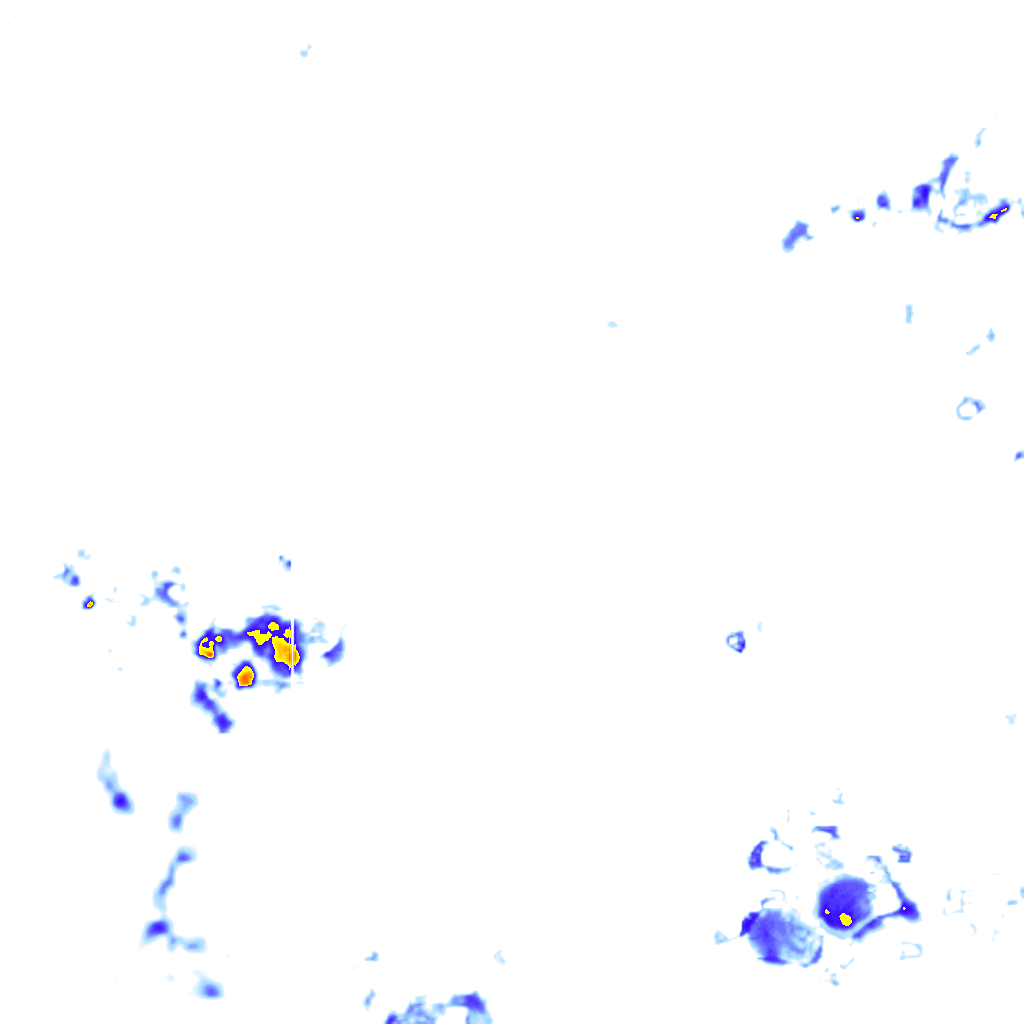 rainLayer
