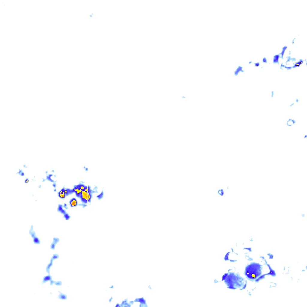 rainLayer