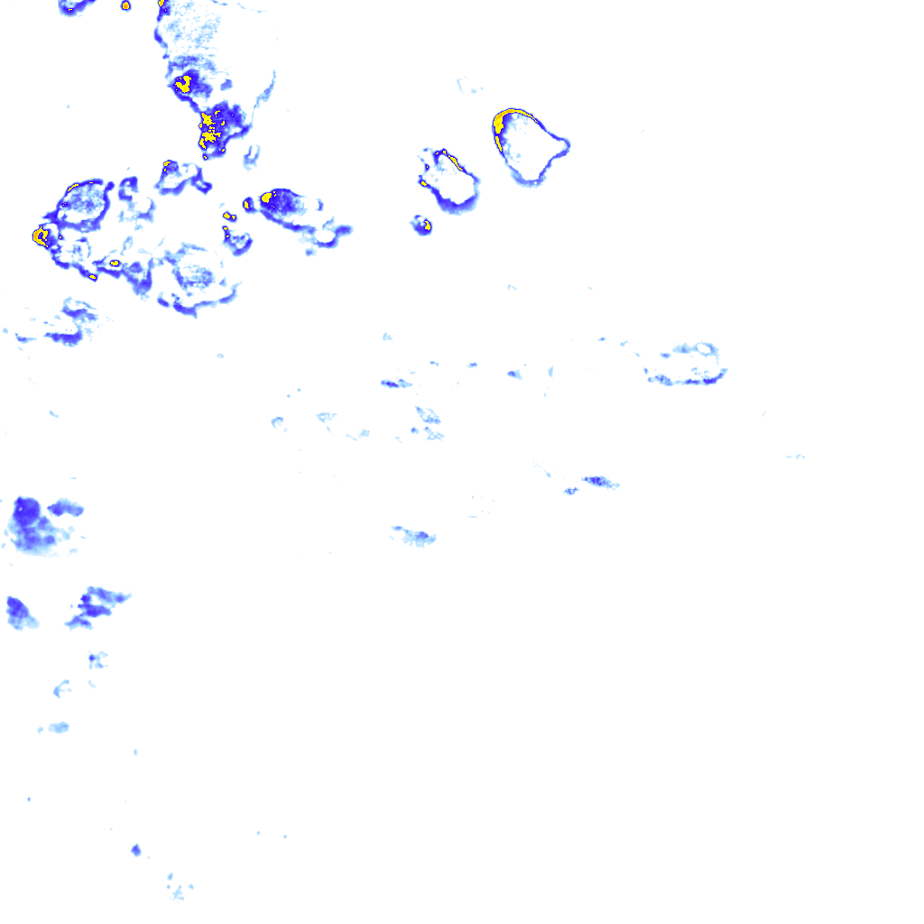 rainLayer