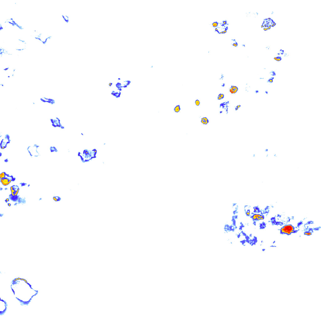rainLayer