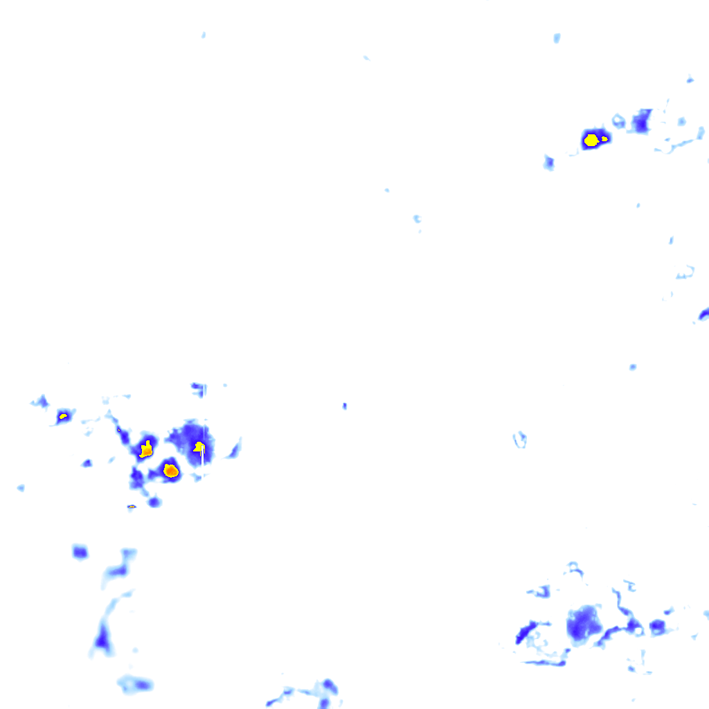 rainLayer