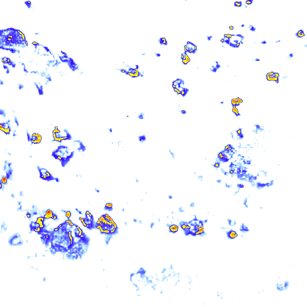 Image Layer