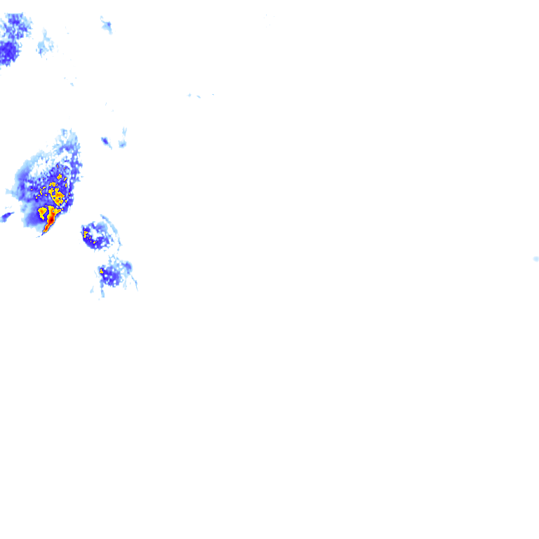 rainLayer