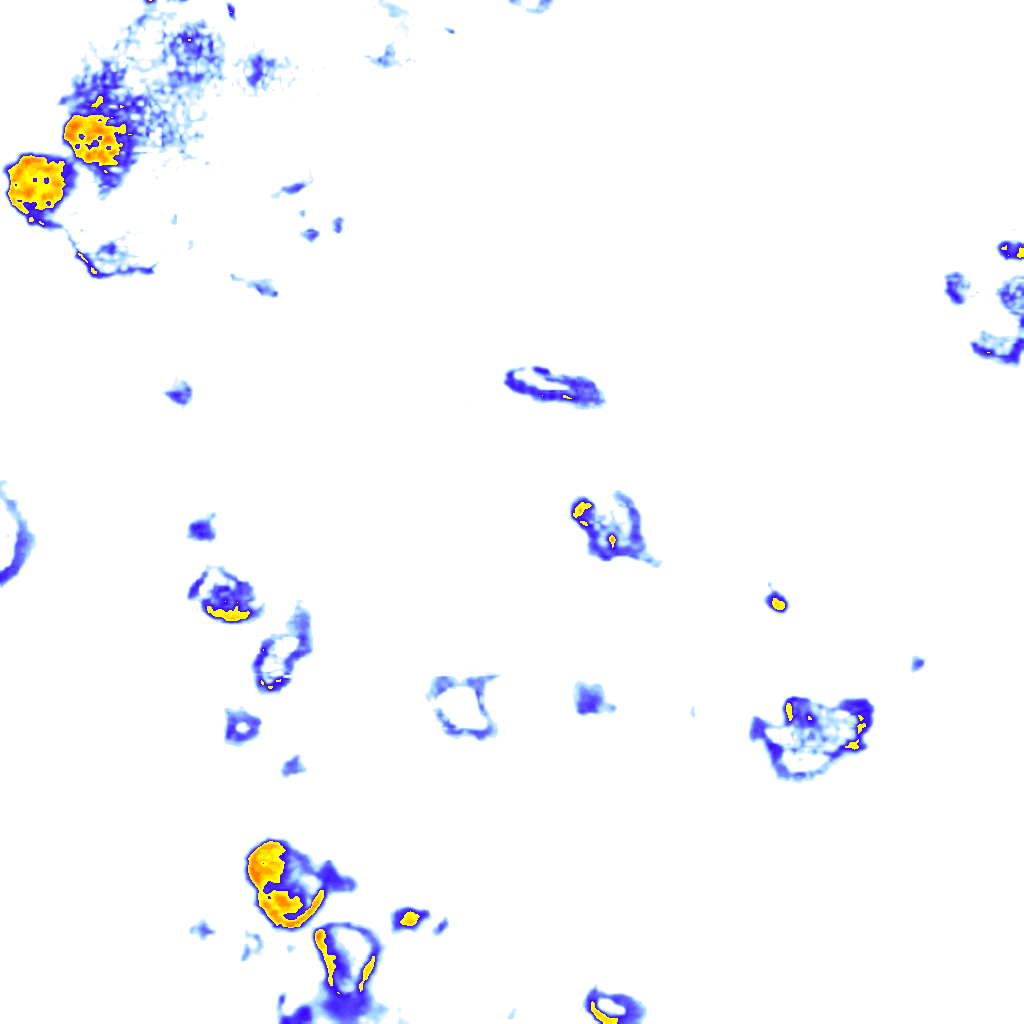Image Layer