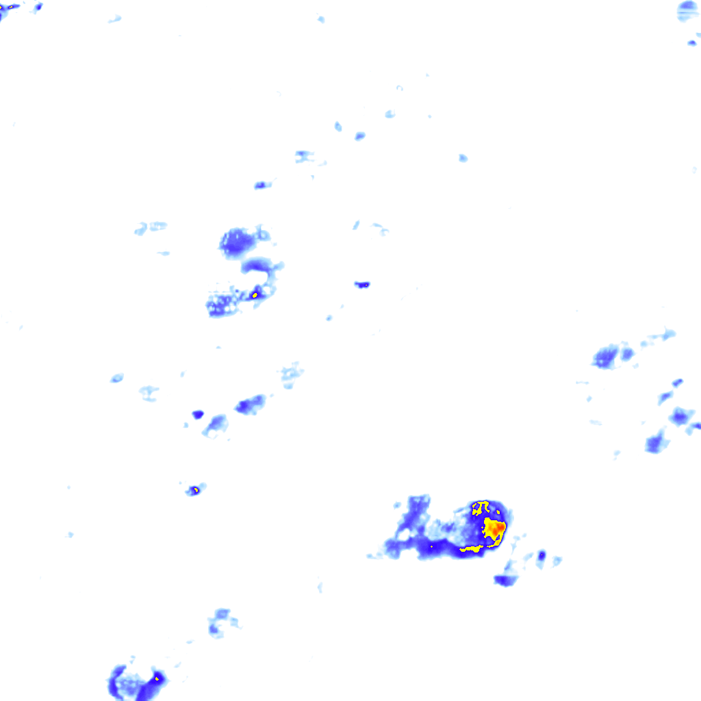 Image Layer