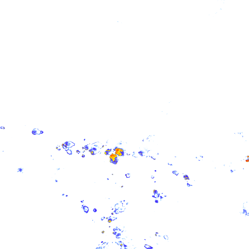 rainLayer