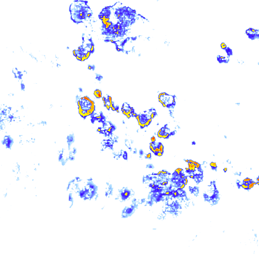 Image Layer