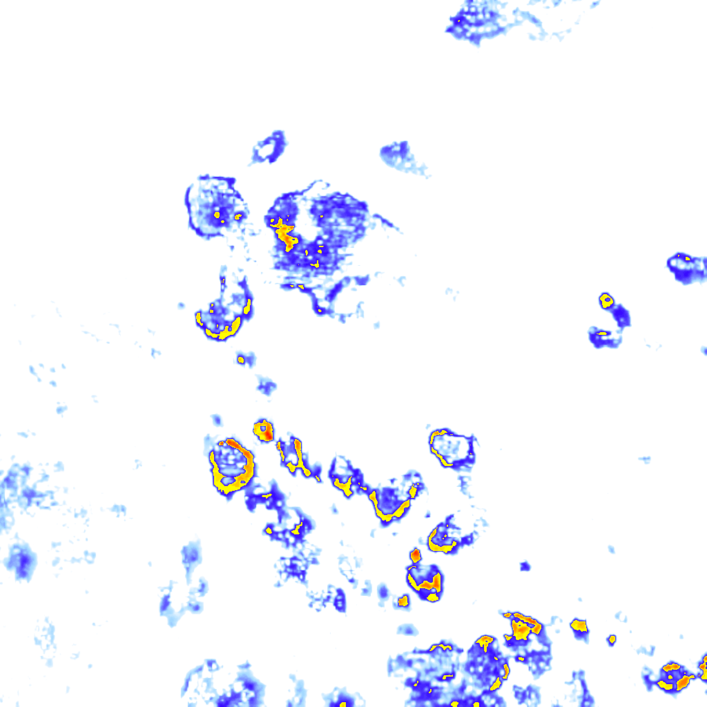 Image Layer