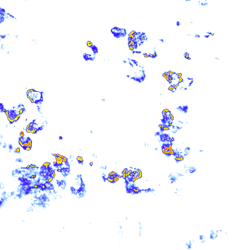 Image Layer