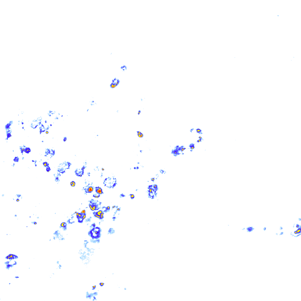 Image Layer