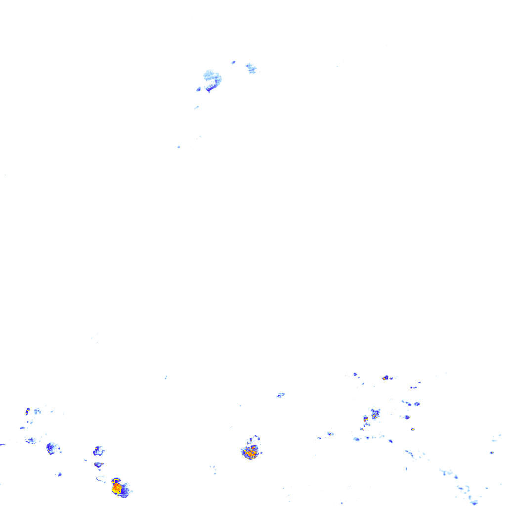 rainLayer
