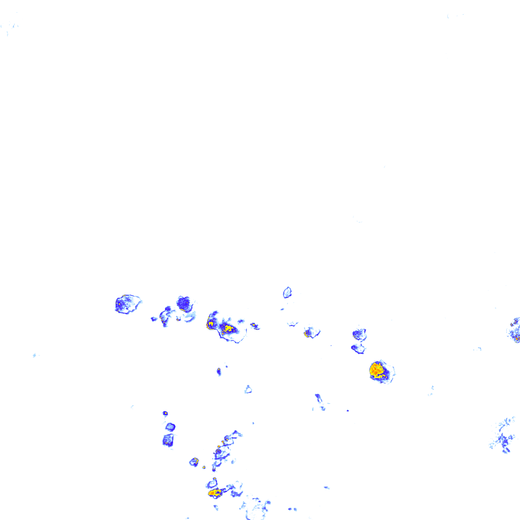 rainLayer