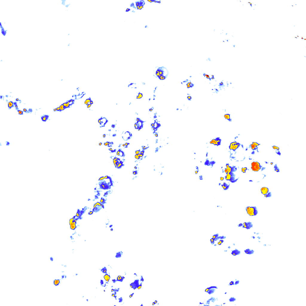 rainLayer