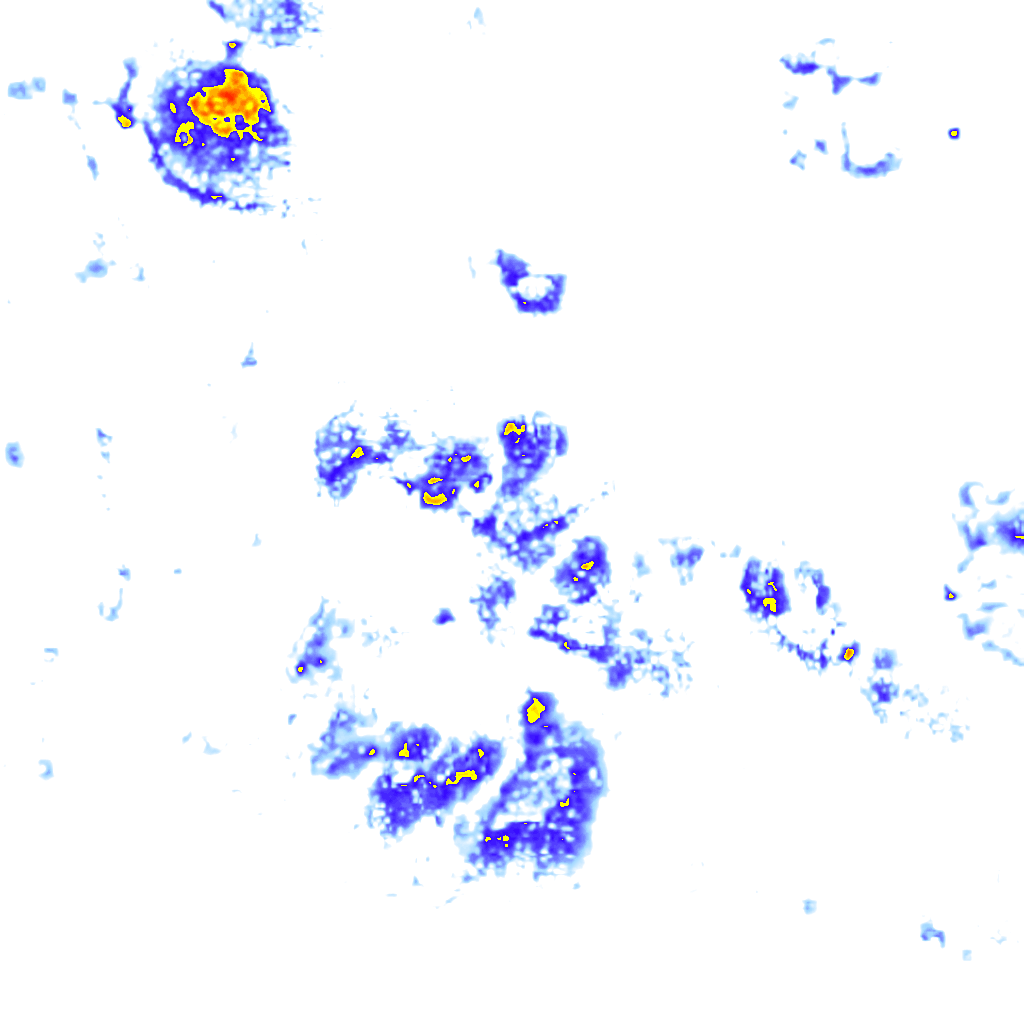 Image Layer