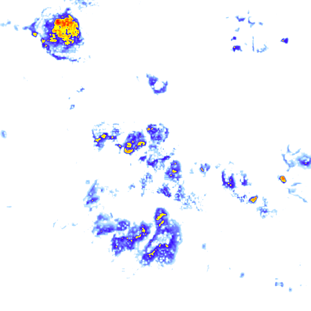 Image Layer