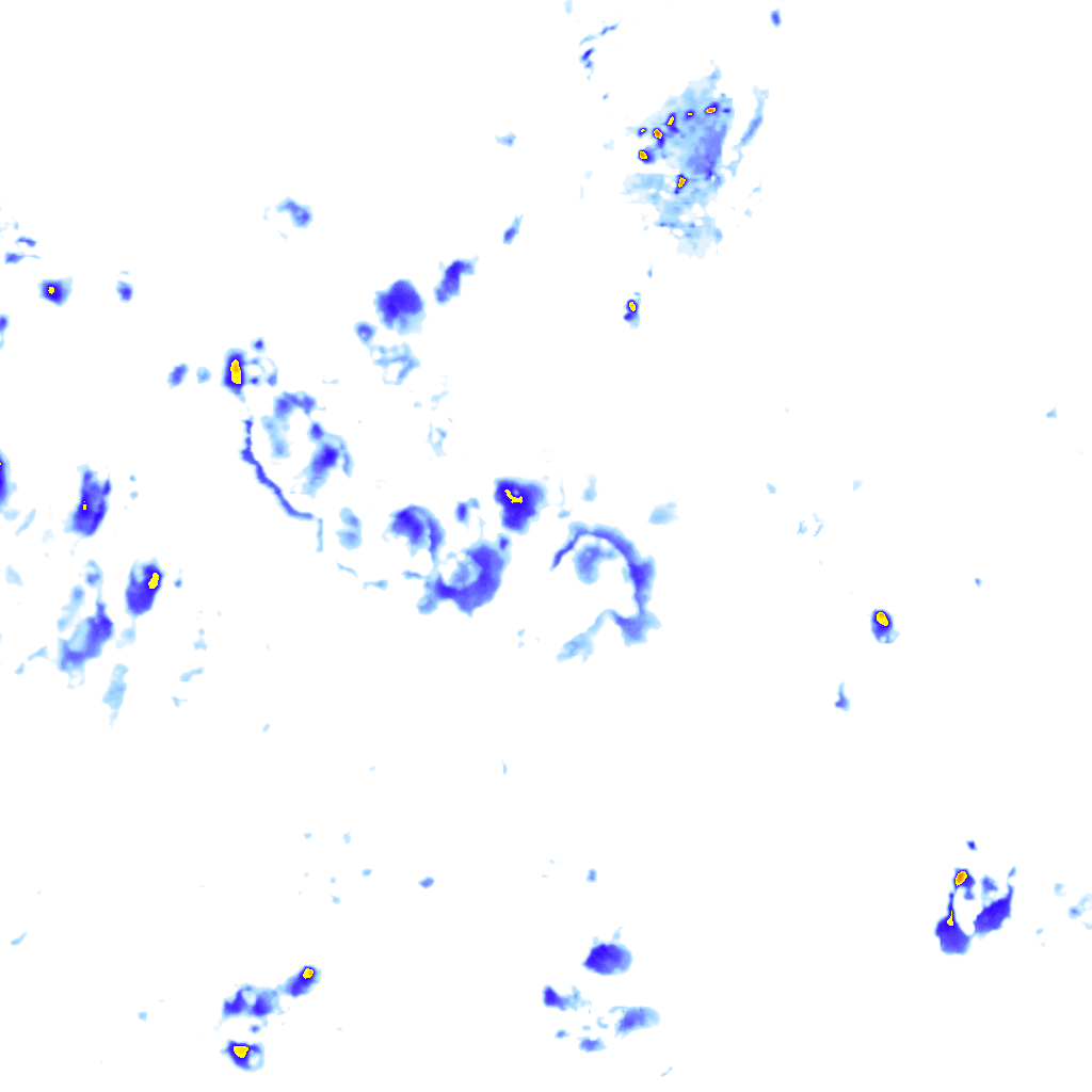 rainLayer
