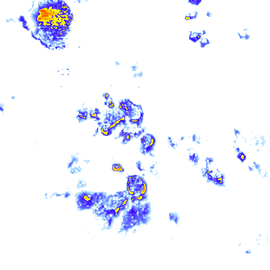 Image Layer