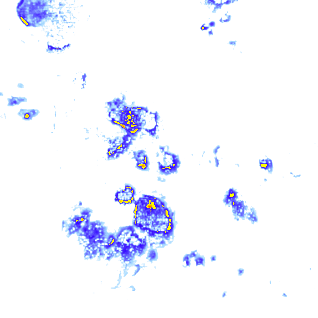 rainLayer